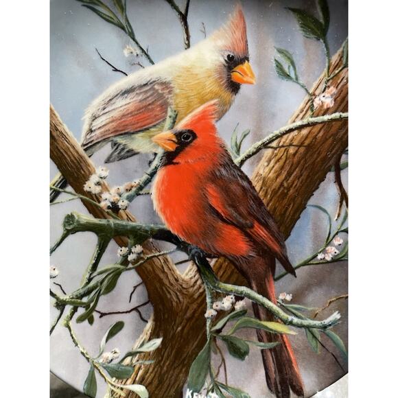 Vintage 5 Encyclopedia Britannica Birds Of Your Garden Collector Plates Knowles - Picture 4 of 12